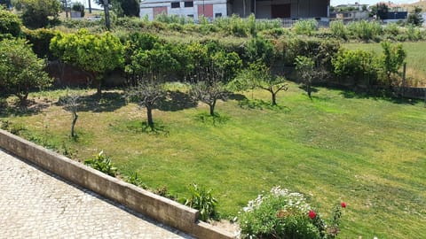 Cargal leiria Alojamiento y desayuno in Leiria, Portugal