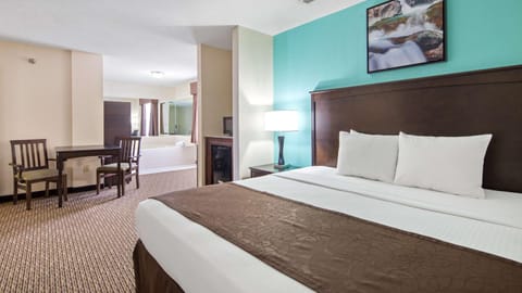 Best Western River City Hotel Hôtel in Decatur