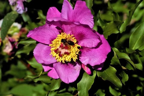 CASA RURAL SIERRAS DE GAUCIN Apartment in Costa del Sol