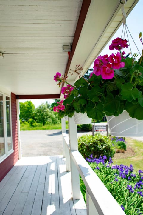 Facade/entrance, Balcony/Terrace