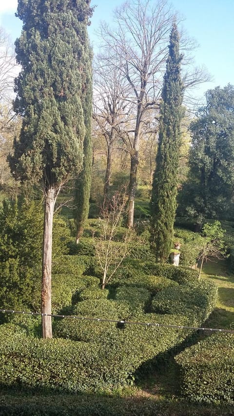 Nearby landmark, Natural landscape