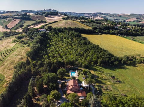 Natural landscape, Bird's eye view