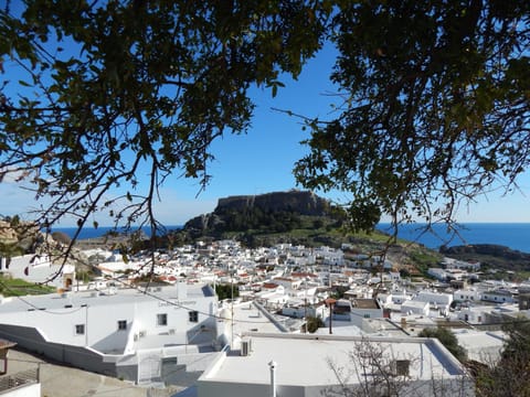 Neighbourhood, View (from property/room), City view, Area and facilities