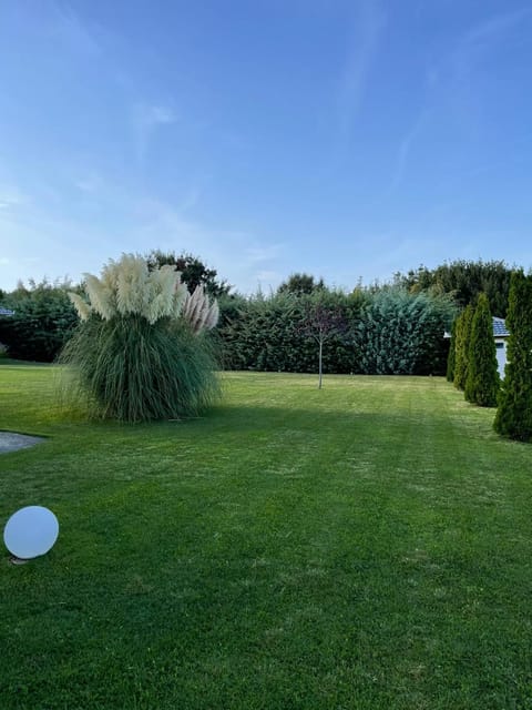 Day, Natural landscape, Garden view