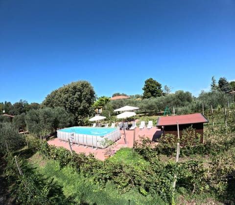 Bird's eye view, Garden, Garden view, Pool view, Swimming pool, sunbed