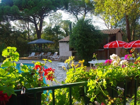 Pool view