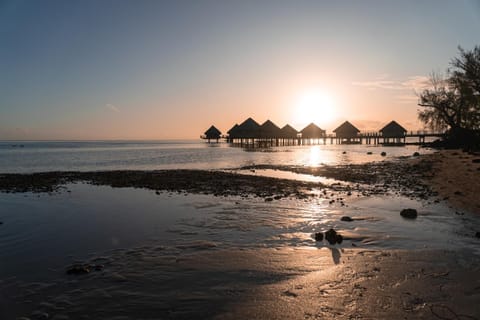 Nearby landmark, Natural landscape, Beach, Sunset