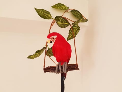 Parrot’s House Apartamento in Lloret de Mar