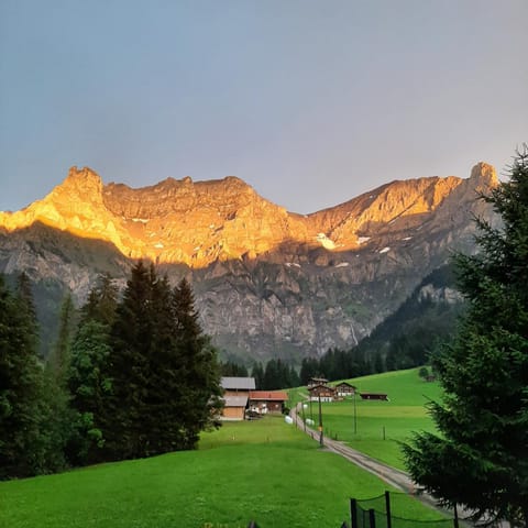 Bunderbach Chalet in Adelboden