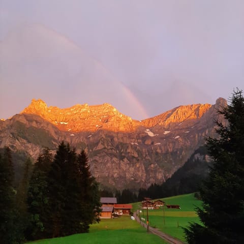 Bunderbach Chalet in Adelboden