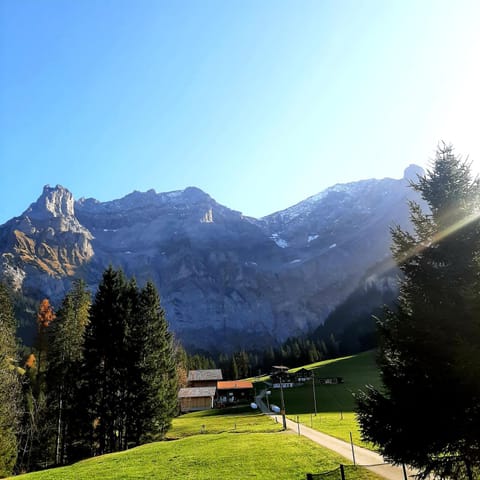 Bunderbach Chalet in Adelboden