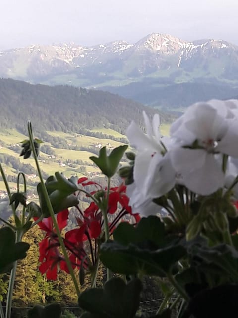 Natural landscape, Mountain view