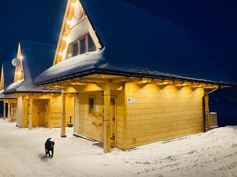 Property building, Facade/entrance, Winter, Pets