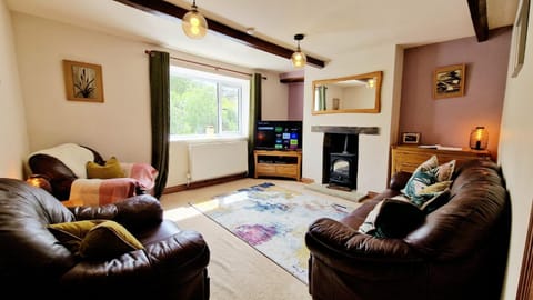 Communal lounge/ TV room, TV and multimedia, Living room, Evening entertainment, fireplace