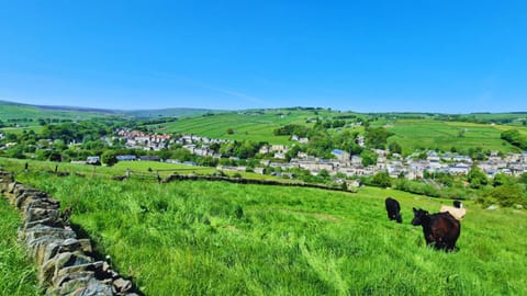 THE OLD WASH KITCHEN - Charming Character Cottage in Holmfirth, Yorkshire Casa in Holmfirth