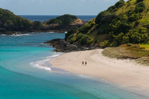 Nearby landmark, Neighbourhood, Natural landscape, Beach