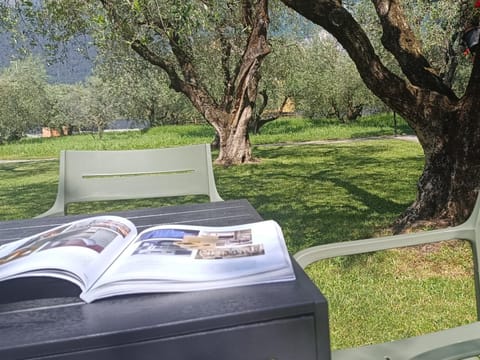 Day, Garden, Garden view