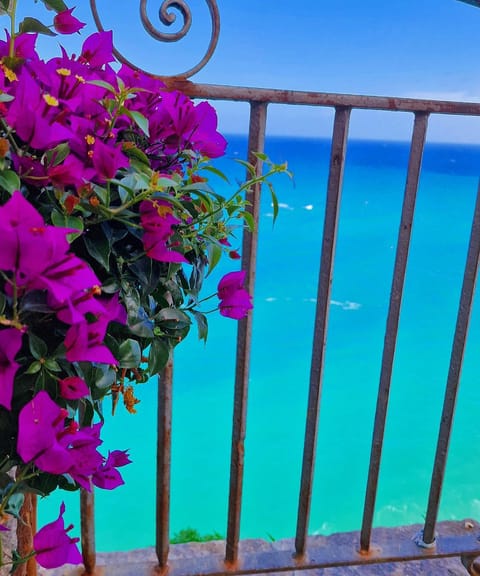 B&B Palazzo Campisi Bed and Breakfast in Tropea