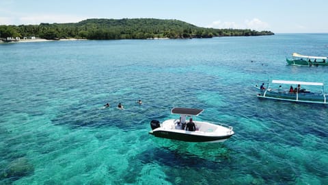 Snorkeling