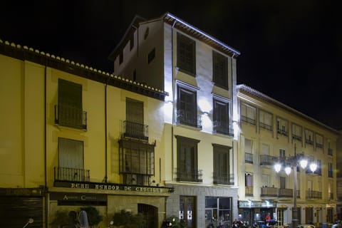 Imeda Apartamentos Escudo del Carmen 19 Appartement in Granada