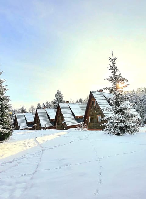 Domki Bieszczady Siedlisko Harenda House in Lviv Oblast