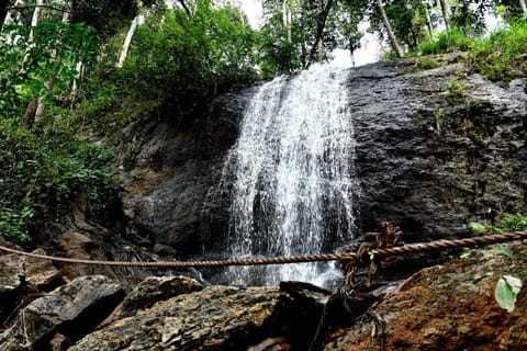 Karadikallu Homestay - Private Waterfalls & Guided Trek house in Sakleshpur