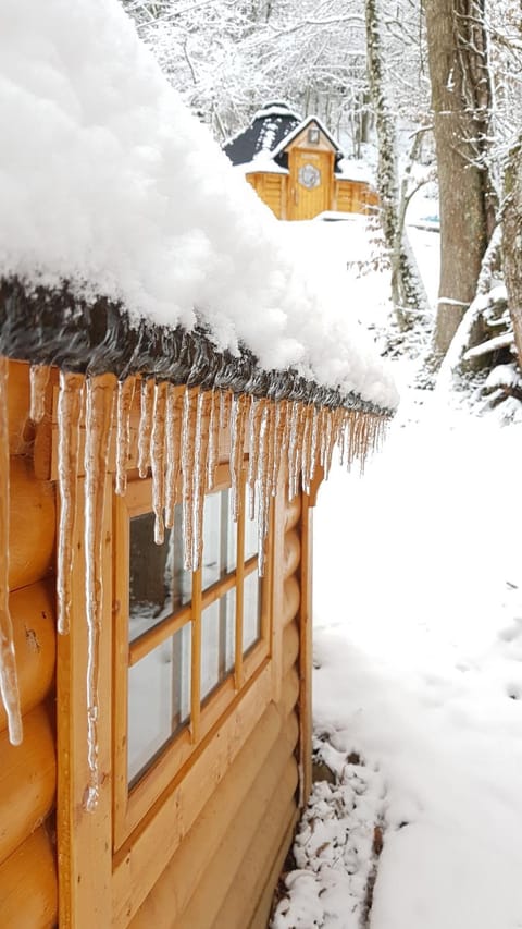 Facade/entrance, Winter