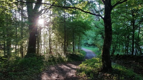 Natural landscape, Garden, Hiking