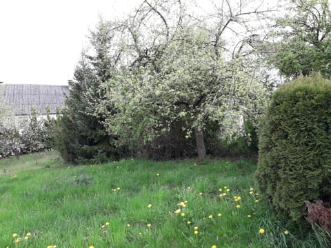 Vakantie boerderij De Boerenzwaluw House in Rhineland-Palatinate
