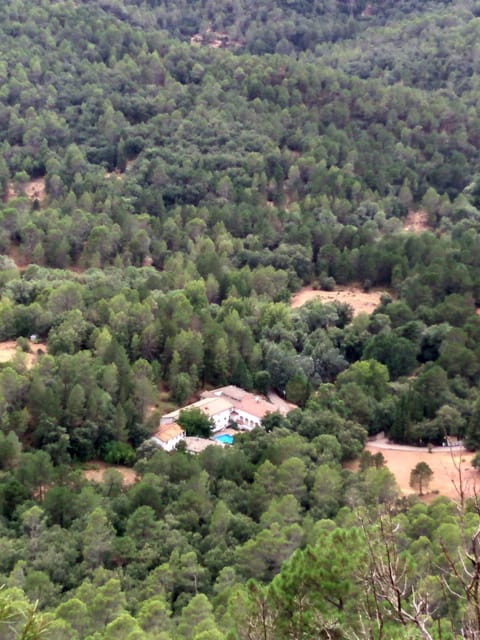 Pensión Rural Arroyo la Teja Bed and Breakfast in Sierra de Cazorla Comarca