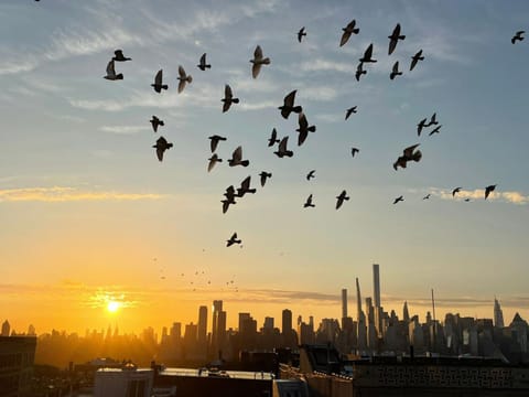 Day, Natural landscape, Bird's eye view, City view, Sunset