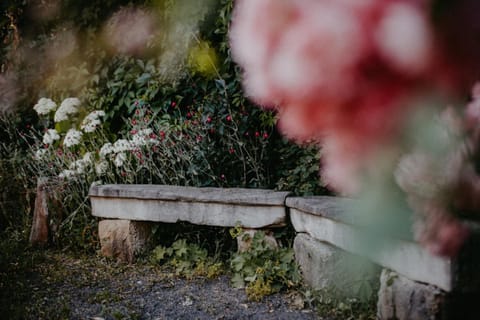 Garden, Garden view