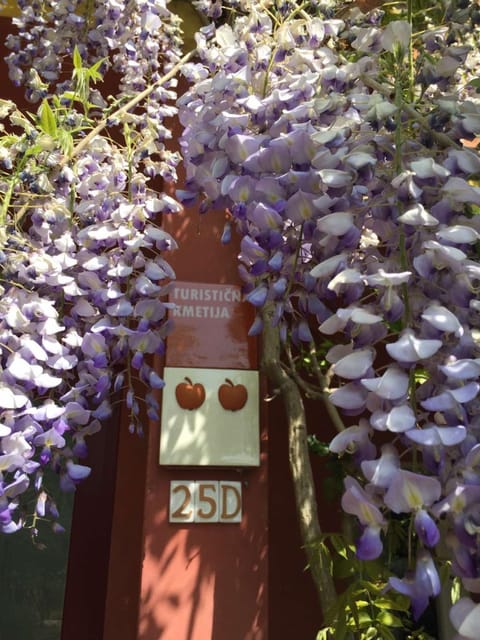 Apartma Vita Apartment in Friuli-Venezia Giulia