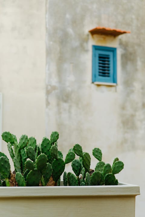 Typical Sicilian Stone House Apartamento in Sampieri