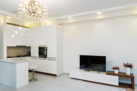 TV and multimedia, Kitchen or kitchenette, minibar, oven, pet friendly