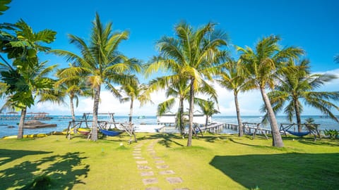 Natural landscape, Garden, Sea view