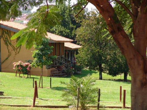 Property building, Natural landscape, Garden view