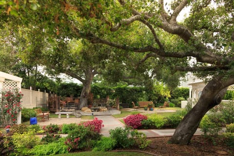 Cheshire Cat Inn & Cottages Bed and Breakfast in Santa Barbara