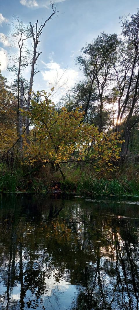 Canoeing