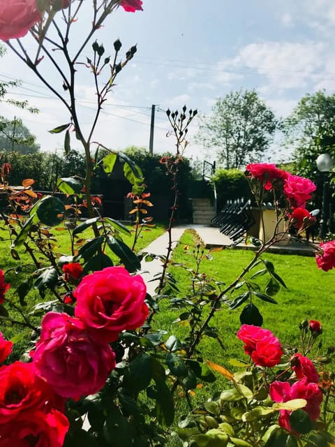 Les gites de la maison lierue Country House in Normandy