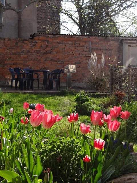 Property building, Spring, Garden, Garden view