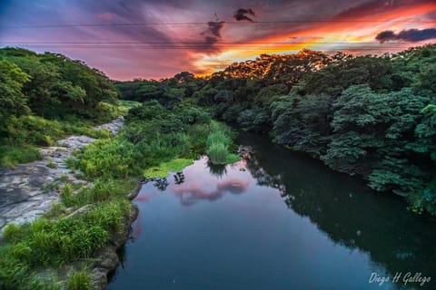 Natural landscape, Garden view, River view