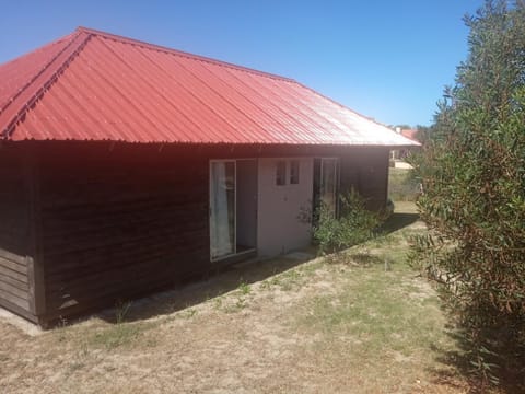 Palafito Apartment in Rocha Department, Uruguay