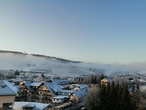 Winter, Mountain view