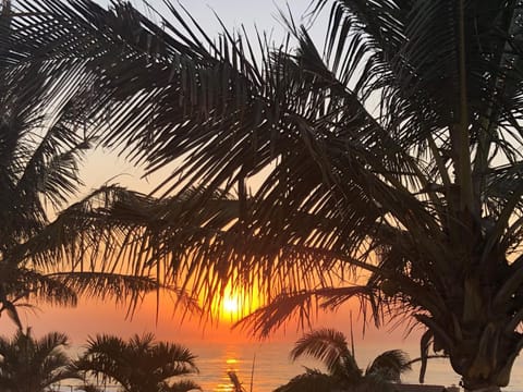 View (from property/room), Sea view, Sea view, Sunset