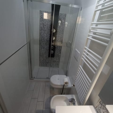 Shower, Toilet, Bathroom, bidet