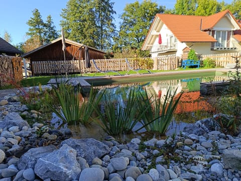 Property building, Day, Garden, Garden view, Swimming pool