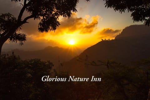 Glorious Nature Inn Bed and Breakfast in Ella