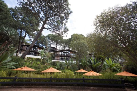 Monteverde Hotel in Mazamitla