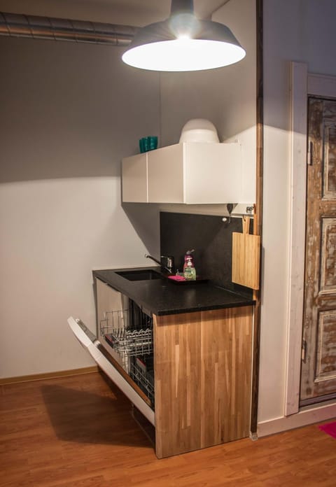 Kitchen or kitchenette, dishwasher